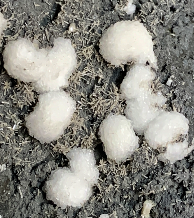 Capture d’écran 2021-07-29 à 22.17.31.png