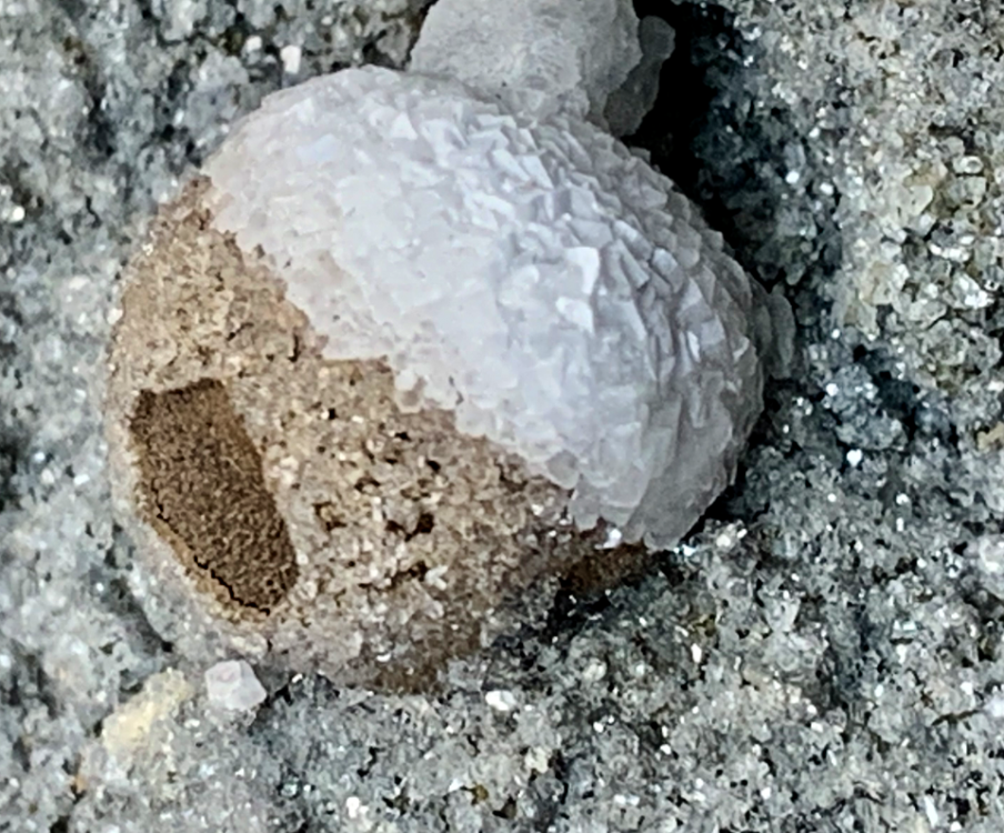 Capture d’écran 2021-07-27 à 22.36.58.png