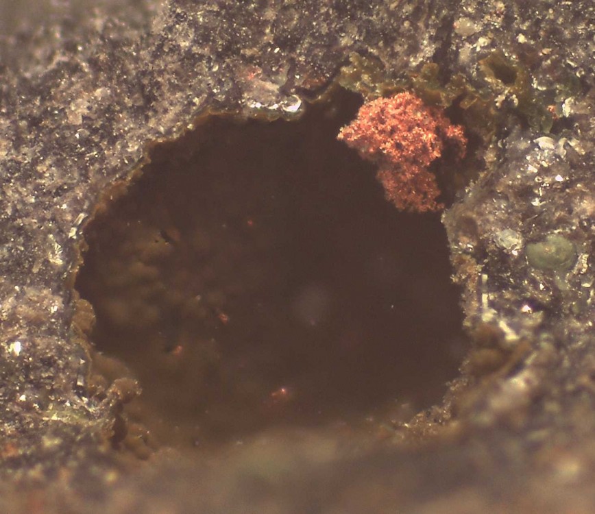 Villecun2021 20x20 s15.jpg