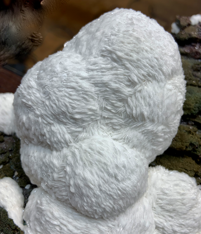 Capture d’écran 2021-07-27 à 22.44.11.png