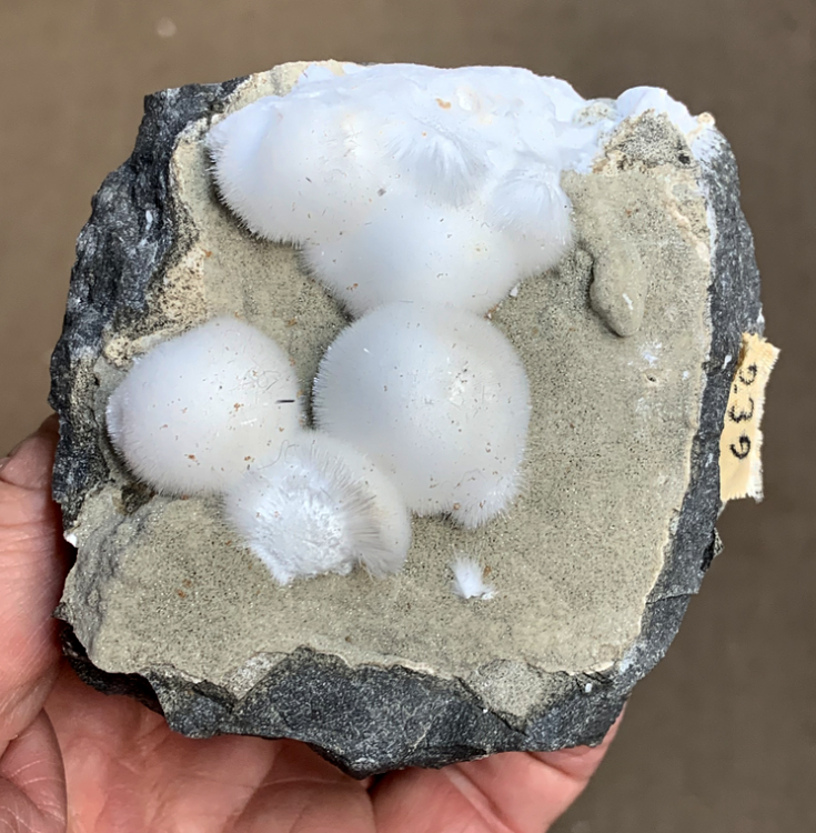 Capture d’écran 2021-07-17 à 20.27.18.png