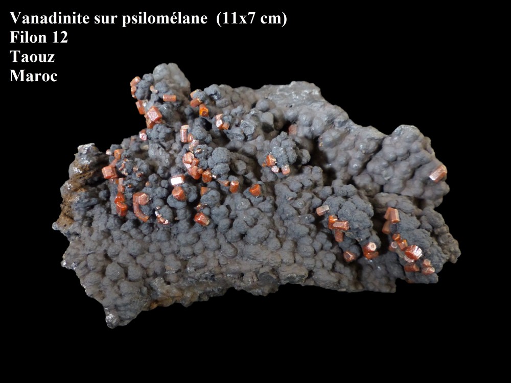 64851446_vanadinitepsilomlane2.thumb.jpg.b4e3d83b98a83711f214f440d5620296.jpg