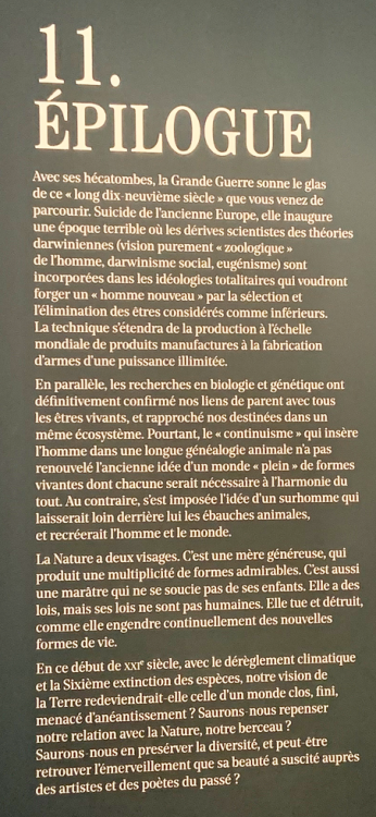 Capture d’écran 2021-07-09 à 23.56.31.png