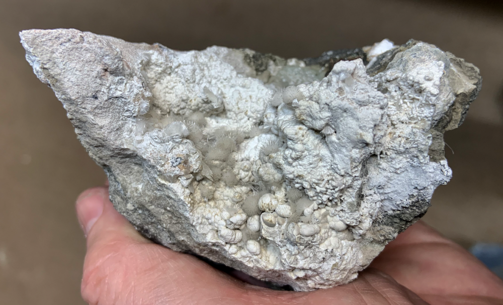 Capture d’écran 2021-07-17 à 22.13.04.png