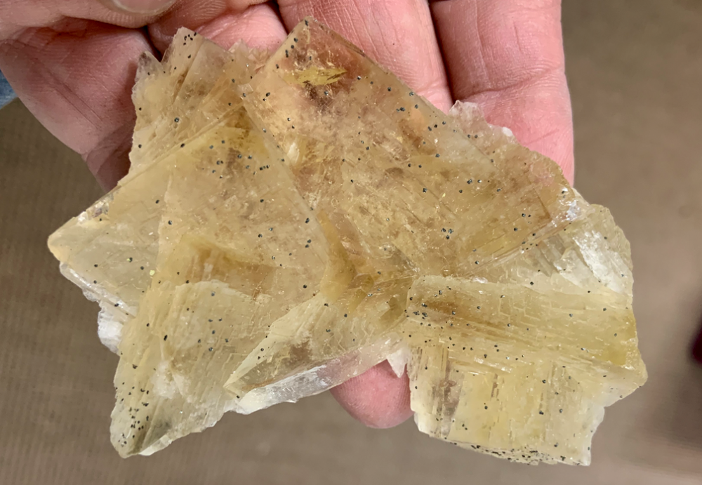 Capture d’écran 2021-08-01 à 00.13.43.png