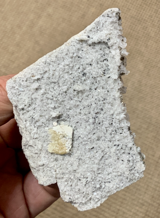 Capture d’écran 2021-08-26 à 10.56.06.png