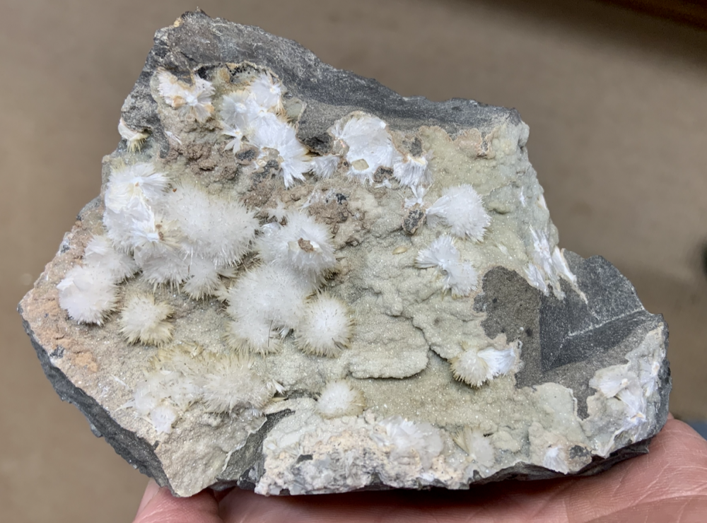 Capture d’écran 2021-08-23 à 15.43.41.png