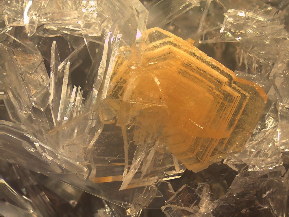 Mapimi 88x66 s22.jpg