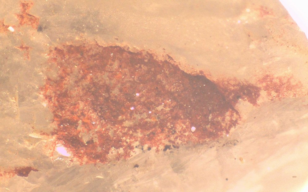 Loiras2021 30x22 s6.jpg