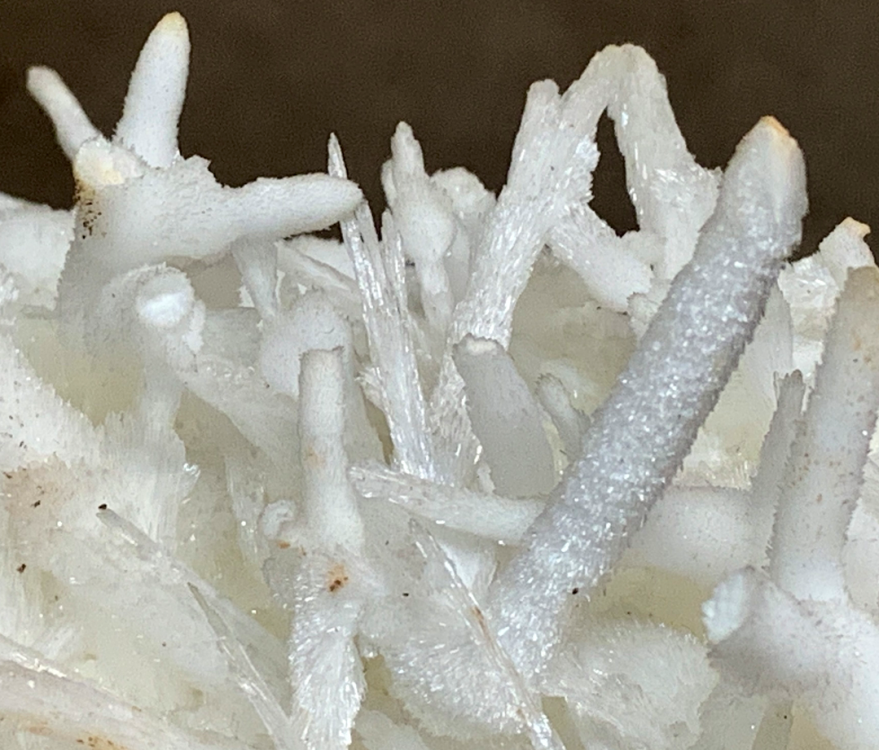 Capture d’écran 2021-08-02 à 00.47.56.png