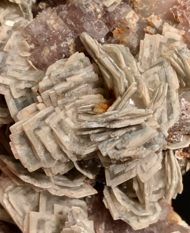 Capture d’écran 2021-08-09 à 23.47.15.png