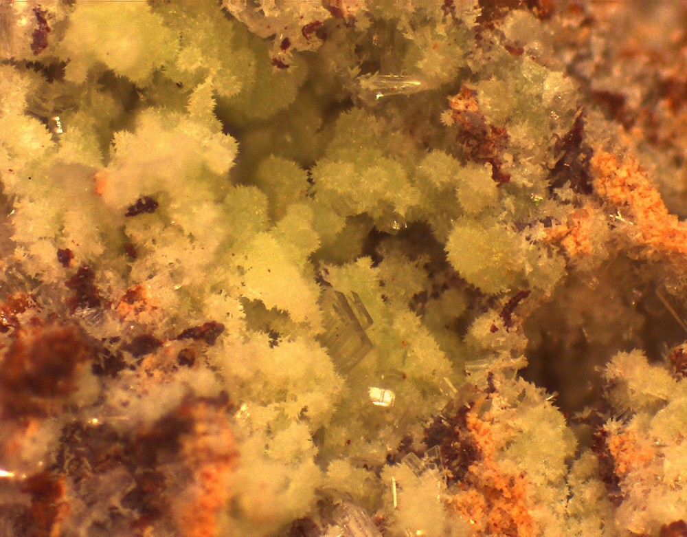 Lacorre 31x23 s13.jpg