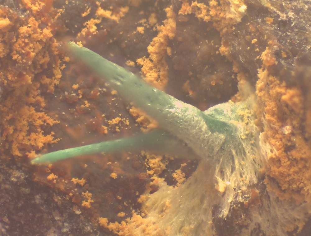 Villecun2021 30x20 s13.jpg