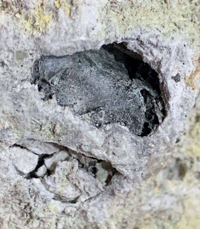 Capture d’écran 2021-08-21 à 22.40.24.png