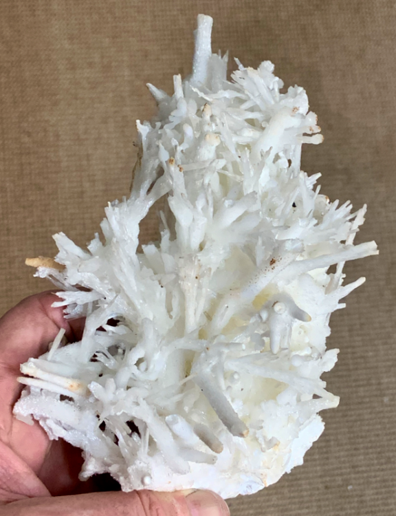 Capture d’écran 2021-08-02 à 00.47.32.png