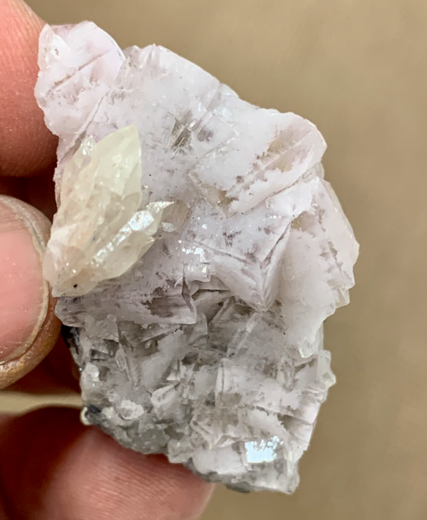 Capture d’écran 2021-07-31 à 23.18.28.png