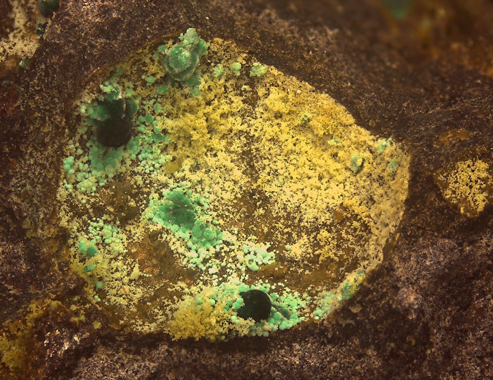 Villecun2021 108x82 s19.jpg