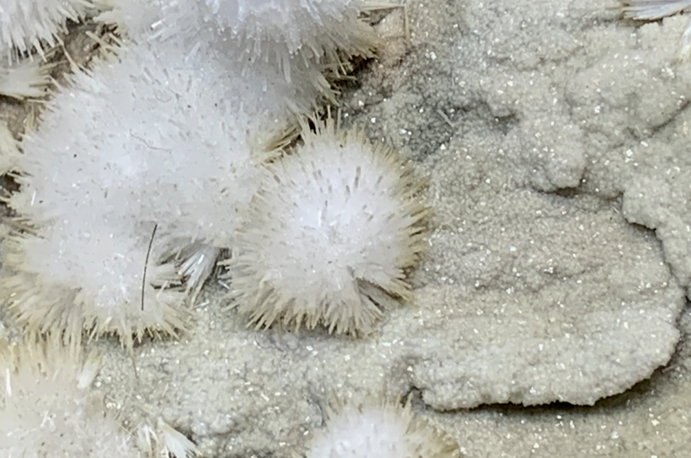 Capture d’écran 2021-08-23 à 15.44.04.png