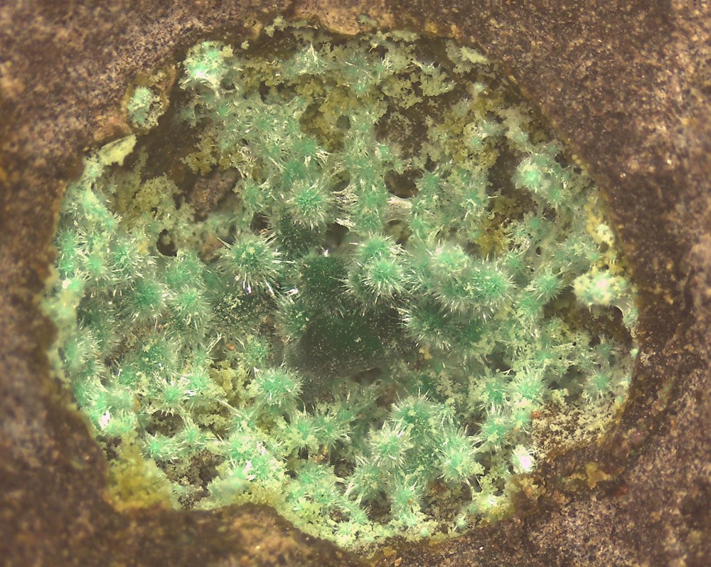 Villecun2021 88x66 s16.jpg