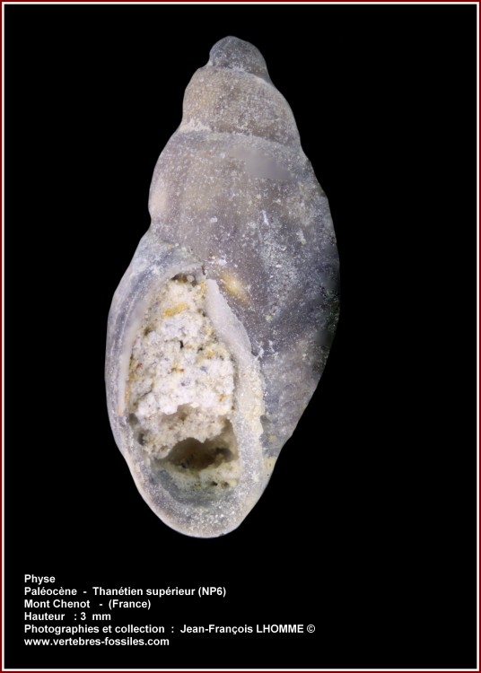 pl_physe_montchenot.jpg