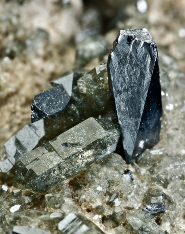 Capture d’écran 2021-09-04 à 23.16.24.png