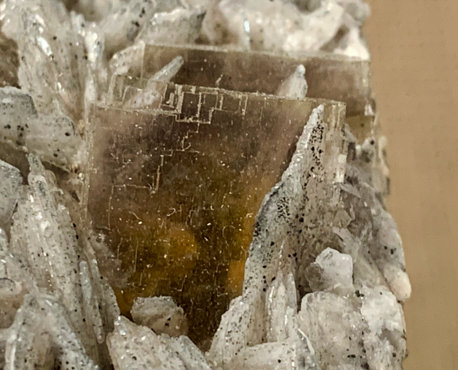 Capture d’écran 2021-08-01 à 00.19.57.png