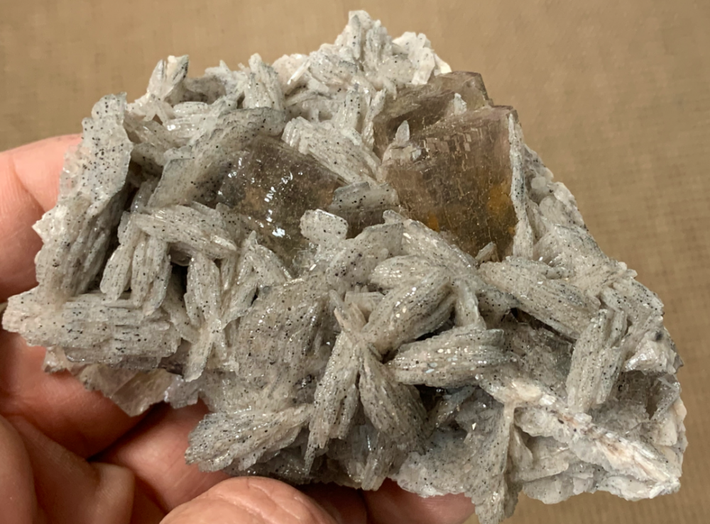 Capture d’écran 2021-08-01 à 00.18.05.png