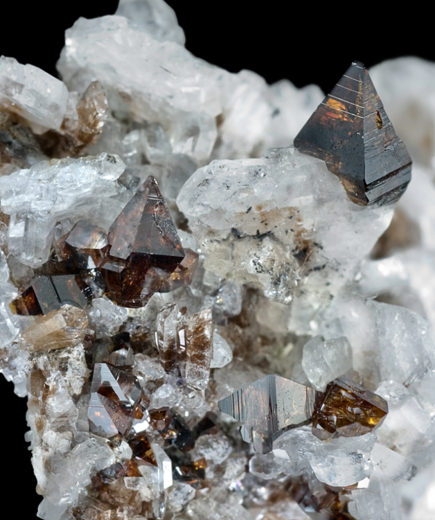 Capture d’écran 2021-09-04 à 23.17.53.png