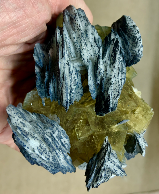 Capture d’écran 2021-09-28 à 23.37.00.png