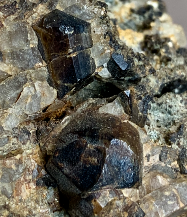 Capture d’écran 2021-09-04 à 23.52.49.png