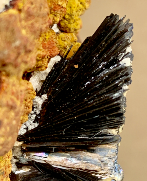 Capture d’écran 2021-09-25 à 16.13.53.png