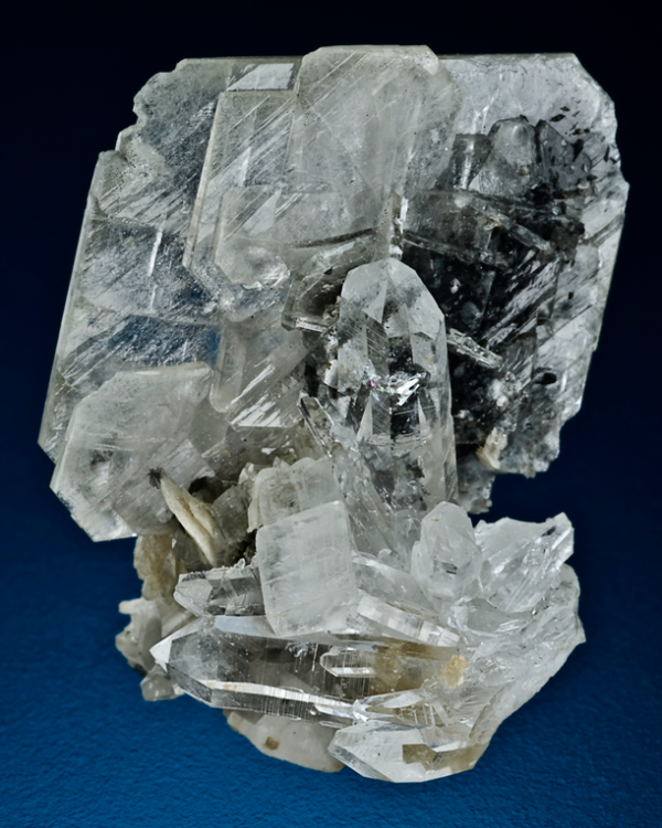 Capture d’écran 2021-09-04 à 23.19.28.png