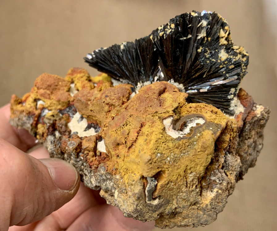 Capture d’écran 2021-09-25 à 16.13.28.png