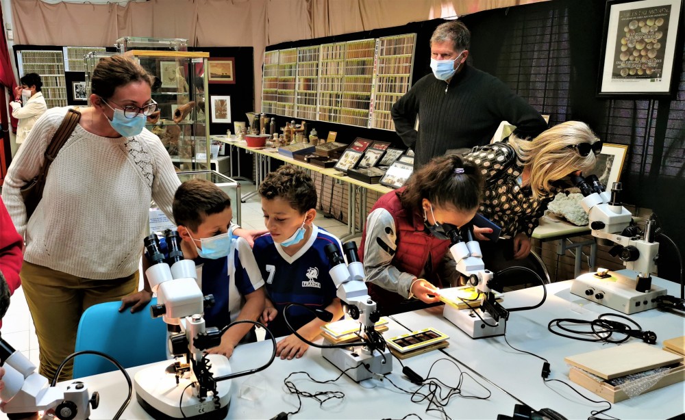 7 - decouverte binoculaire micromineralogie arenophilie.jpg