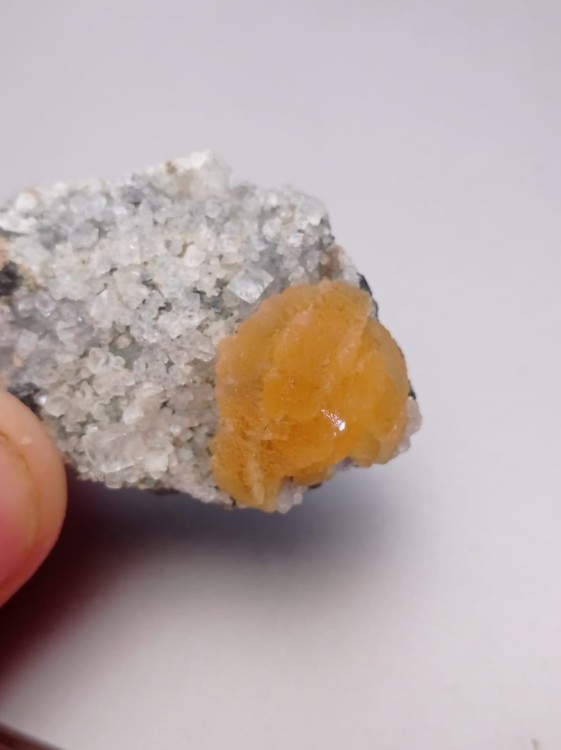 WhatsApp Image 2021-10-23 at 11.46.42.jpeg