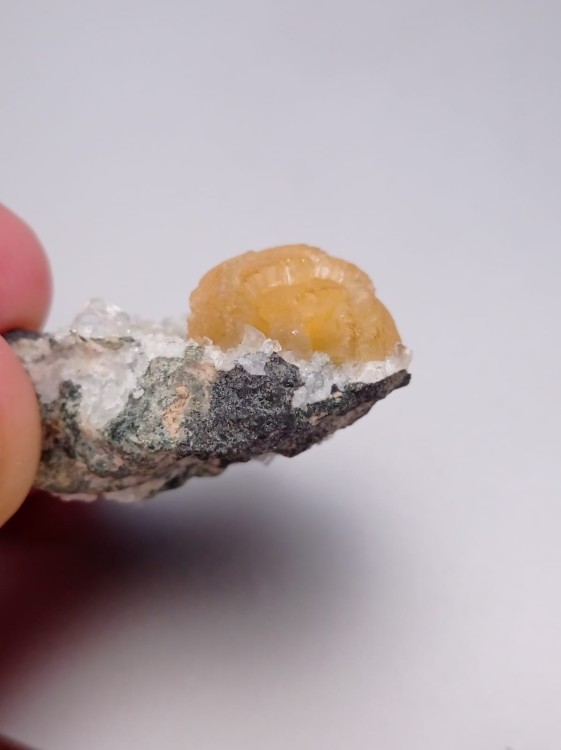 WhatsApp Image 2021-10-23 at 11.46.42 (2).jpeg