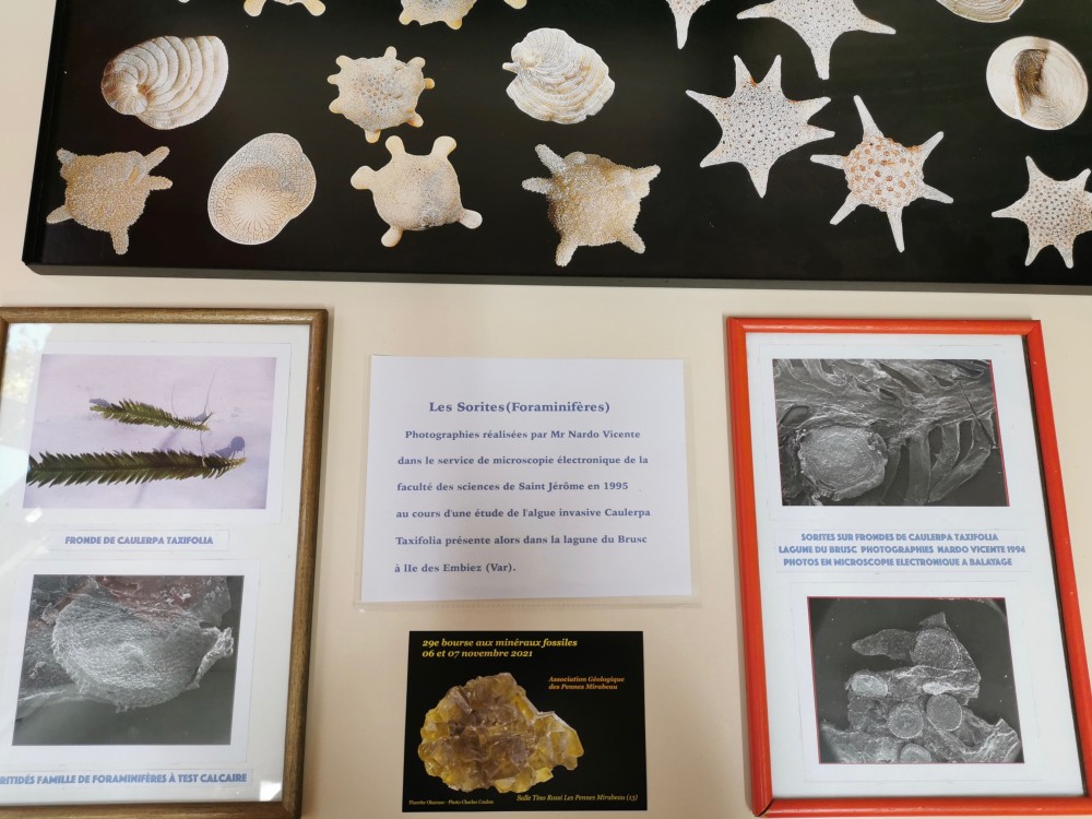 20 - presentation des sorites travaux Nardo Vicente.jpg