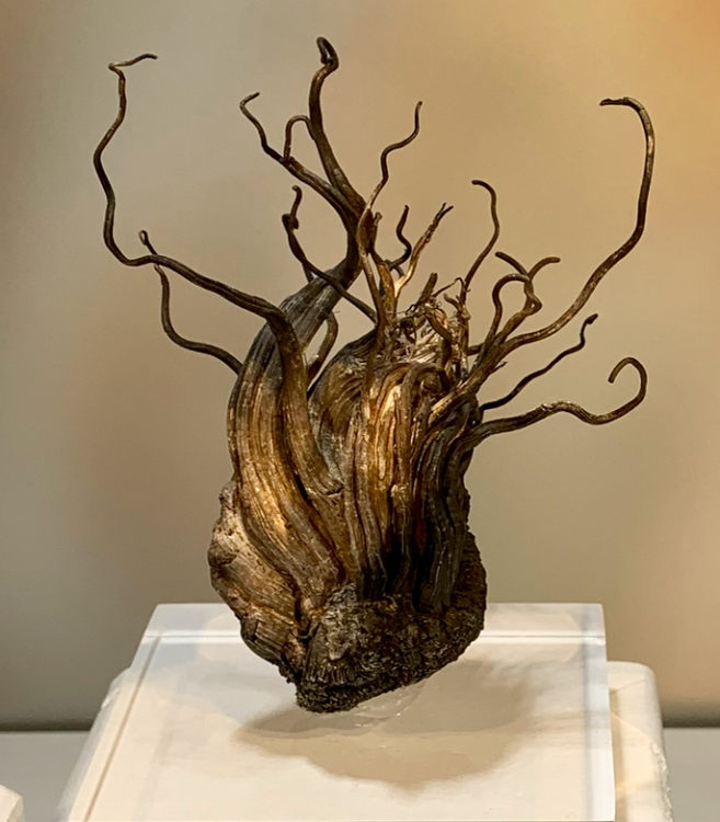 Capture d’écran 2021-10-24 à 00.24.24.png