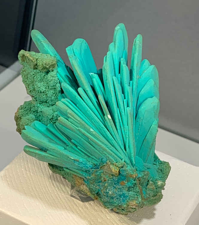 Capture d’écran 2021-10-26 à 00.31.59.png