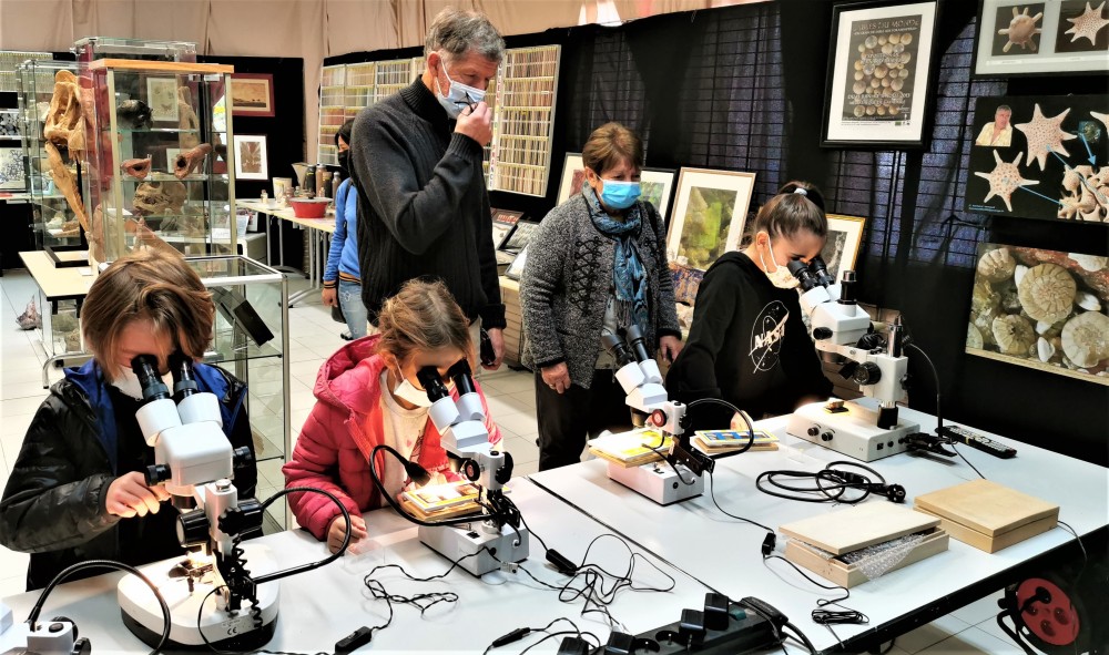 8 - observation bino micromineralogie cap garonne.jpg