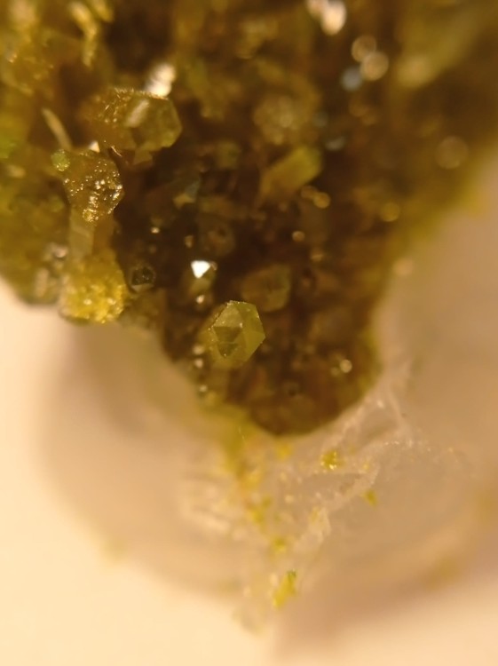 WhatsApp Image 2021-10-27 at 10.20.15 (1).jpeg