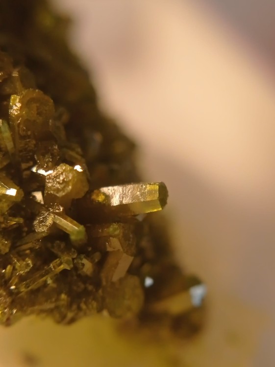 WhatsApp Image 2021-10-27 at 10.20.14.jpeg