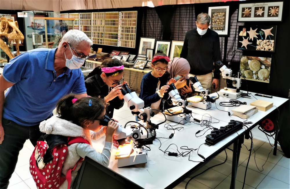 18 - decouverte a la bino micromineralogie et foraminiferes.jpg