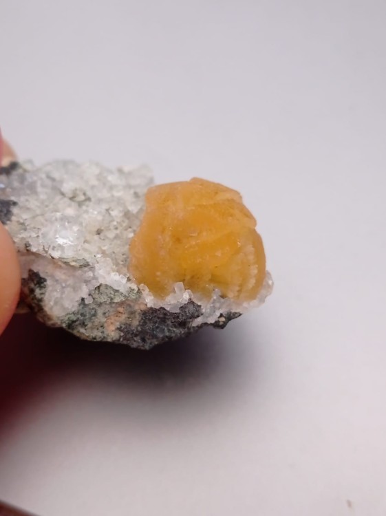 WhatsApp Image 2021-10-23 at 11.46.42 (1).jpeg