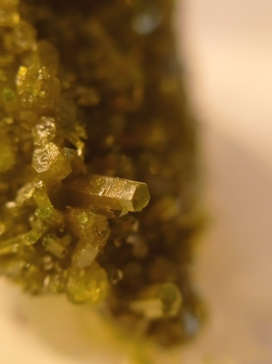 WhatsApp Image 2021-10-27 at 10.20.15.jpeg