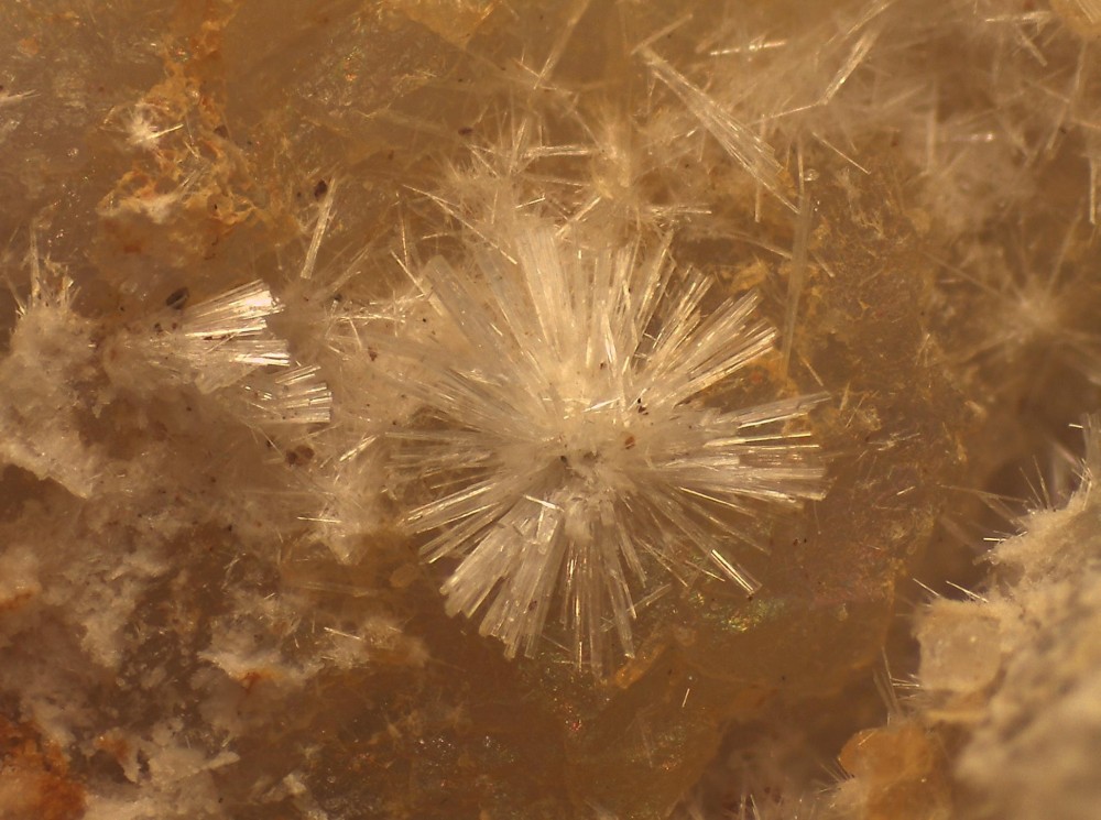 Fumade wav 31x23 s8.jpg