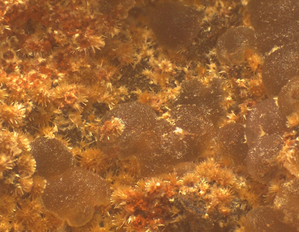 Fumade str-cac 36x28 s8.jpg