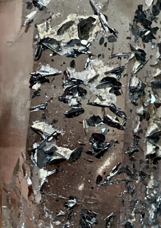 Capture d’écran 2021-11-05 à 11.13.42.png