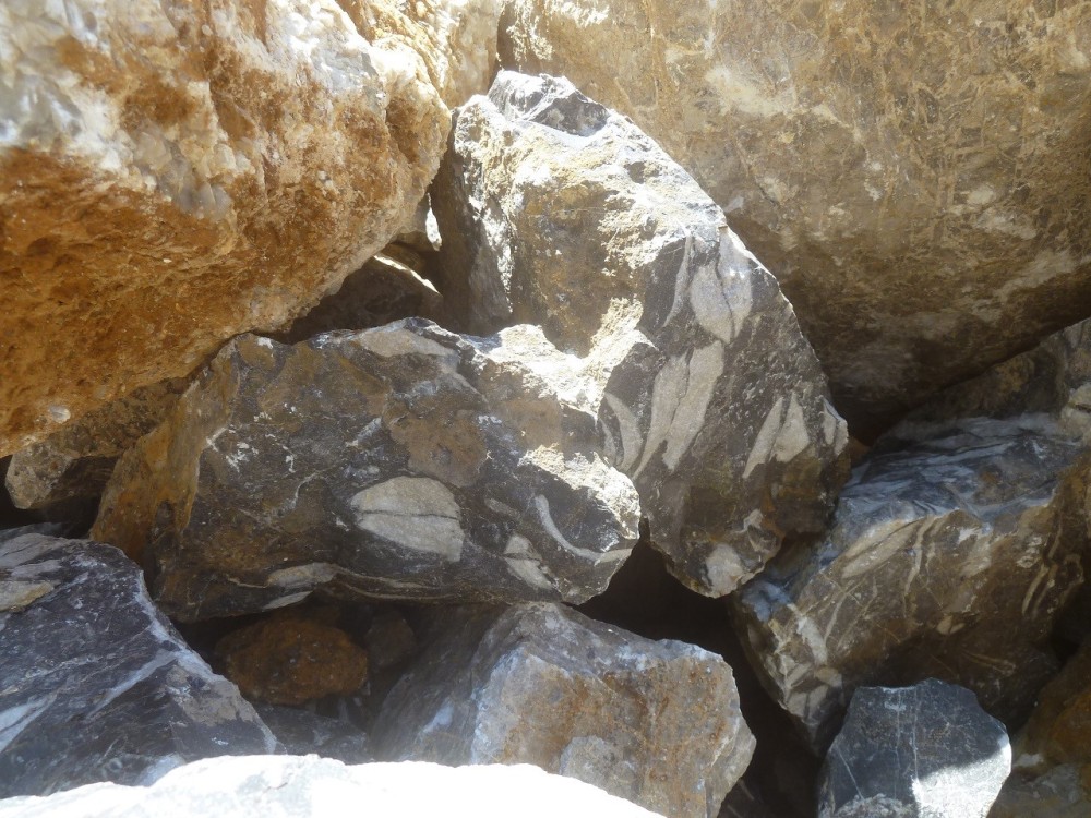 Curiosité 05-09-2021 (22) - .JPG