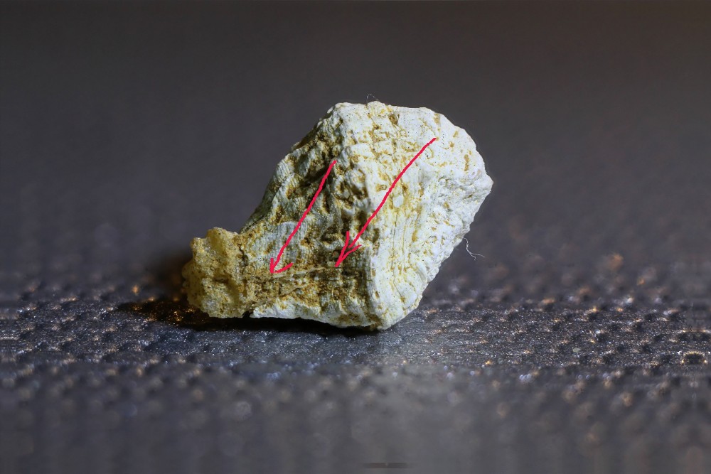 new2bis_DxO light.jpg